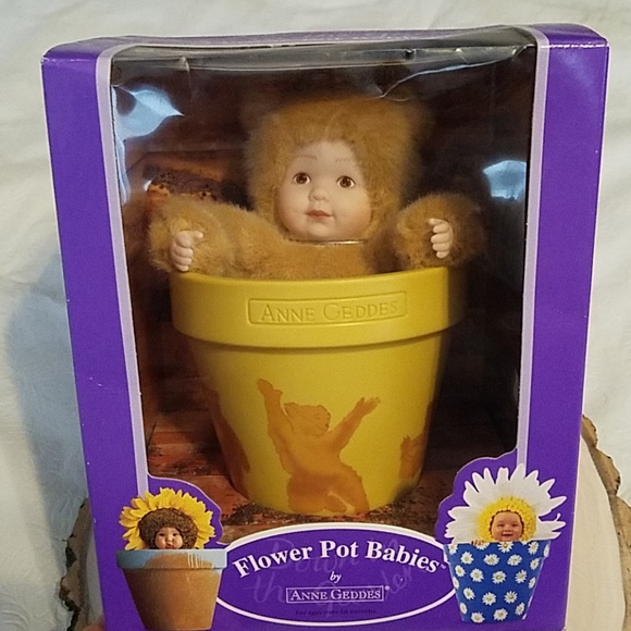 Anne Geddes Other - Anne Geddes Flower Pot Babies Bear Doll NEW